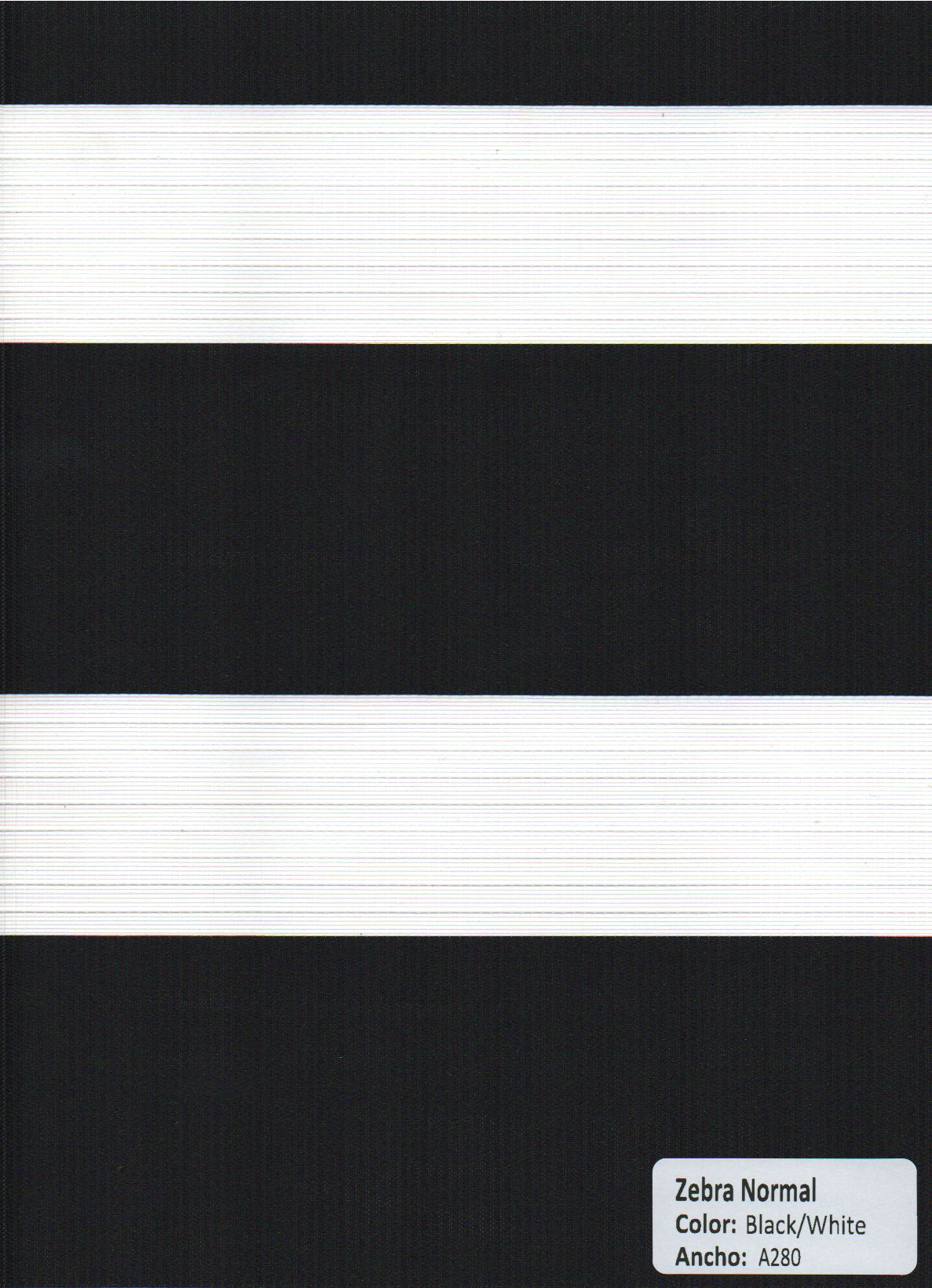 Zebra Normal Blanco